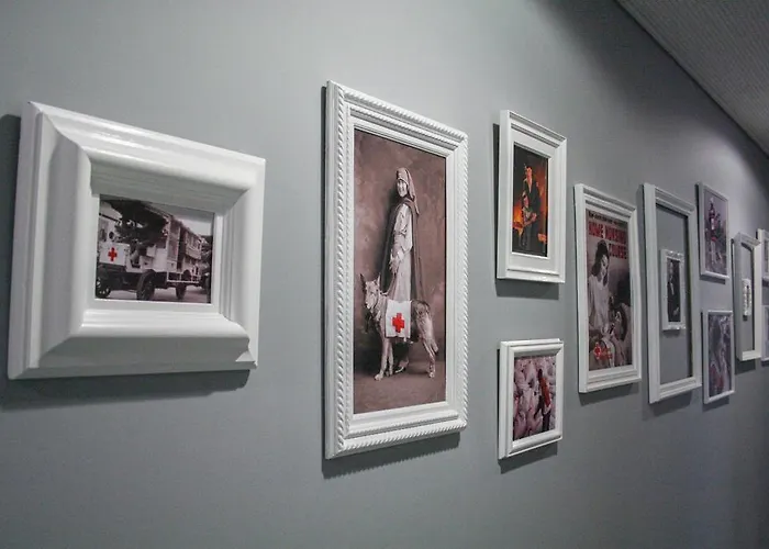 Albergue Cruz Vermelha Vila Nova de Gaia